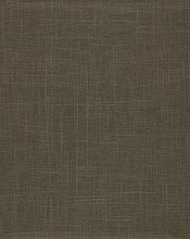 VS-10584-1-TANPP Harper2